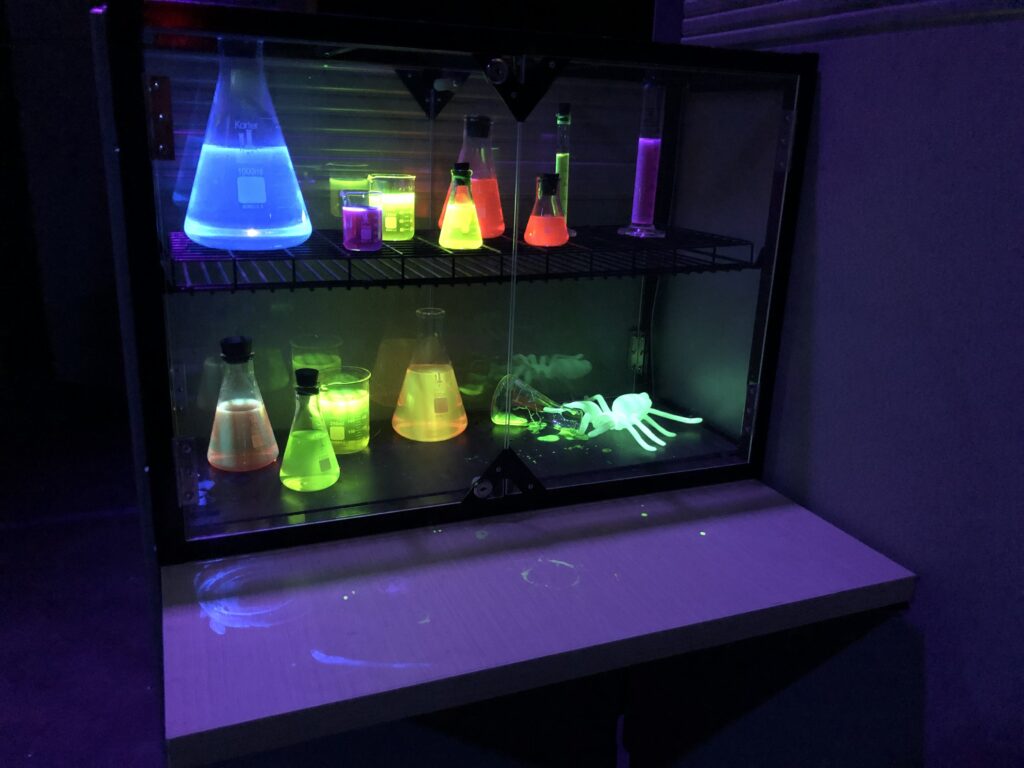 Warpaint International Get Ready For Action!